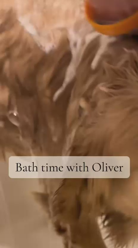 Pet Drying Towel | Dog Drying Towel