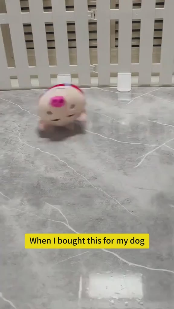 Dancing and Singing Piglet | Gift item