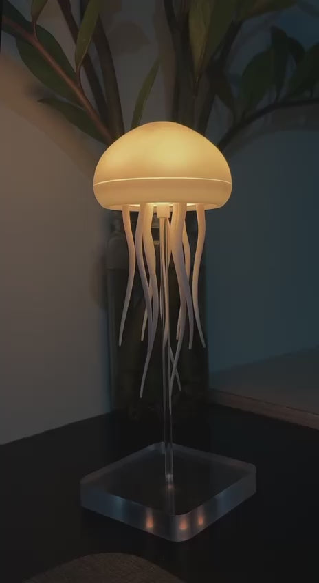 *Jellyfish Lamp